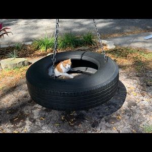 Meet your Posher, Alison